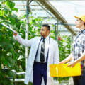 The Importance of Sustainable Plantation Management for Long-Term Success